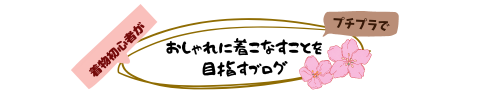 着物初心者がプチプラでオシャレに着こなすことを目指すブログ